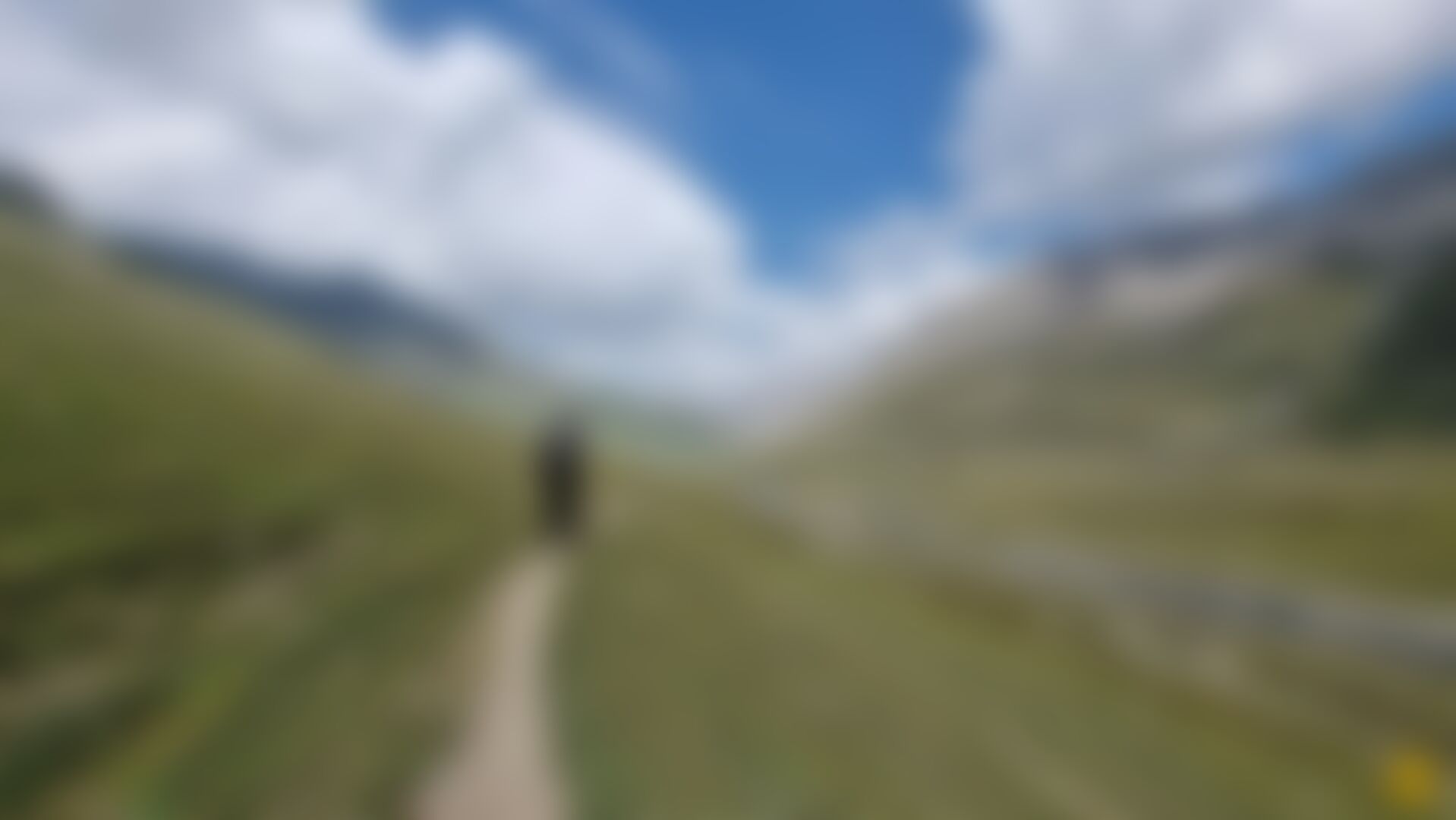 low-preview-016c6416 a3ff 49c3 9e65 34a146244f69 20210903 131842