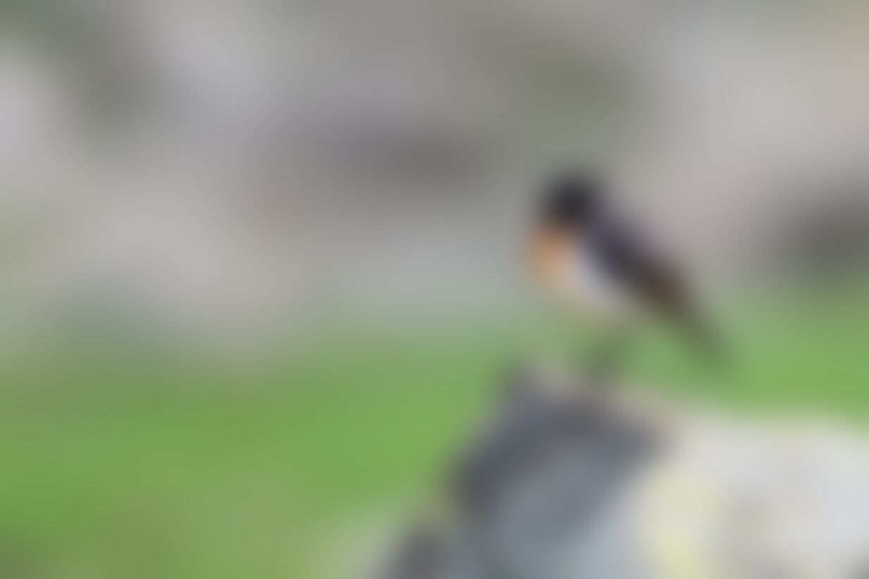 low-preview-04100c0c 9909 401c a53d e5d6676c289f tarsar marsar santhosh july 2021 day 03 1