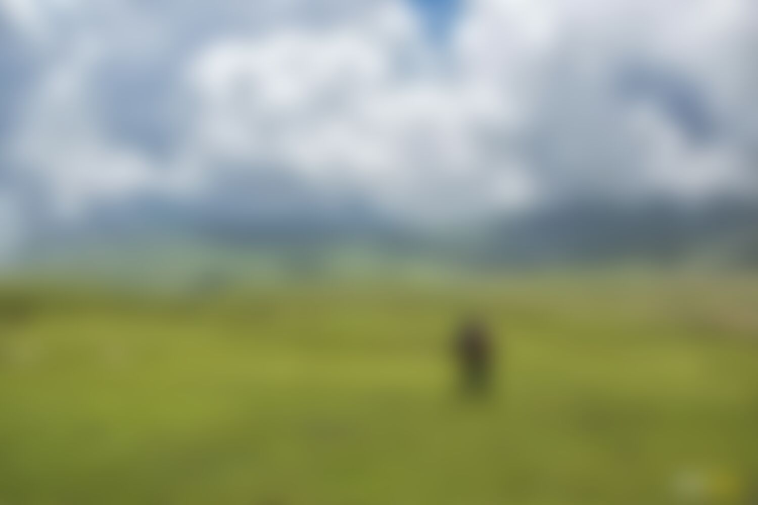 low-preview-056f51da 23dd 44ca a81d 156e6c21e70c asther valley trek indiahikes nithesh kumar july 2022 website resolution  12