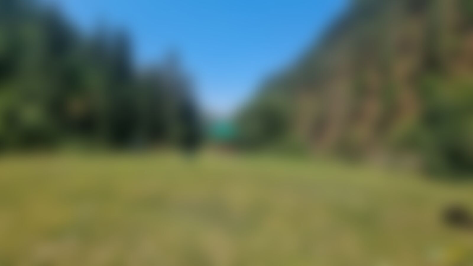 low-preview-09255146 e51d 46c8 a4e2 7eba72c9ce85 har ki dun trek dhaval jajal june 2022 monsoon trek