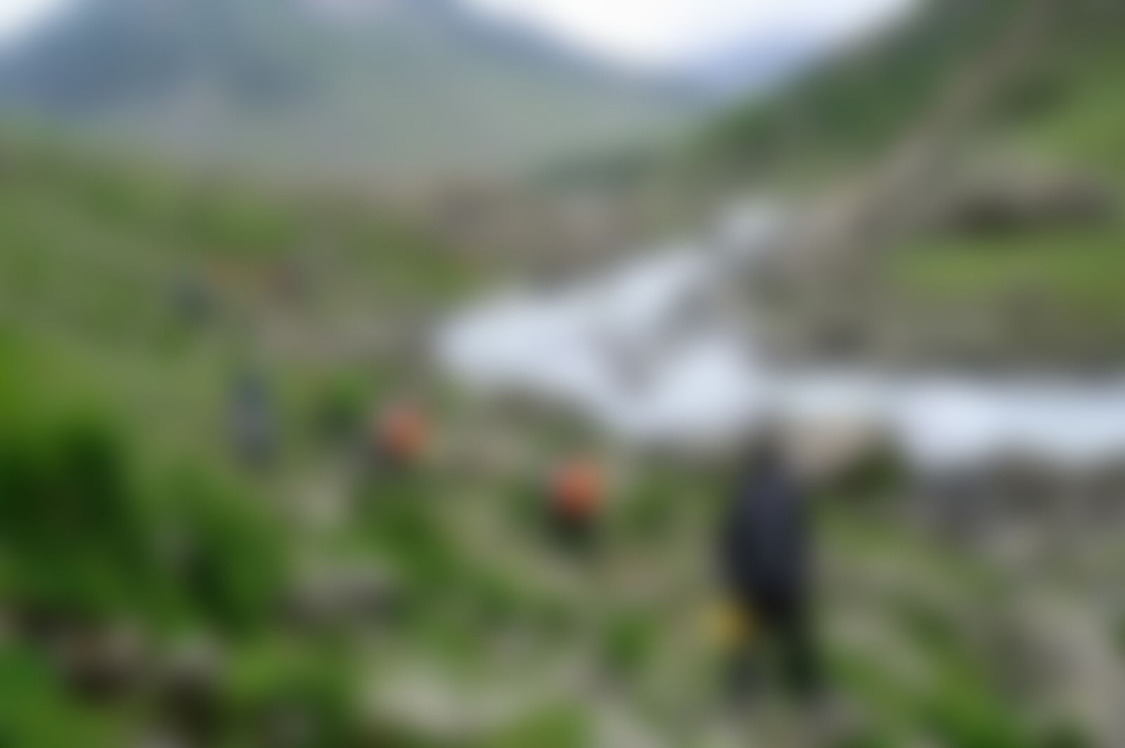 low-preview-0b02a1b2 ed0e 4edb a0ba b240f0965435 tarsar marsar santhosh july 2021 yj