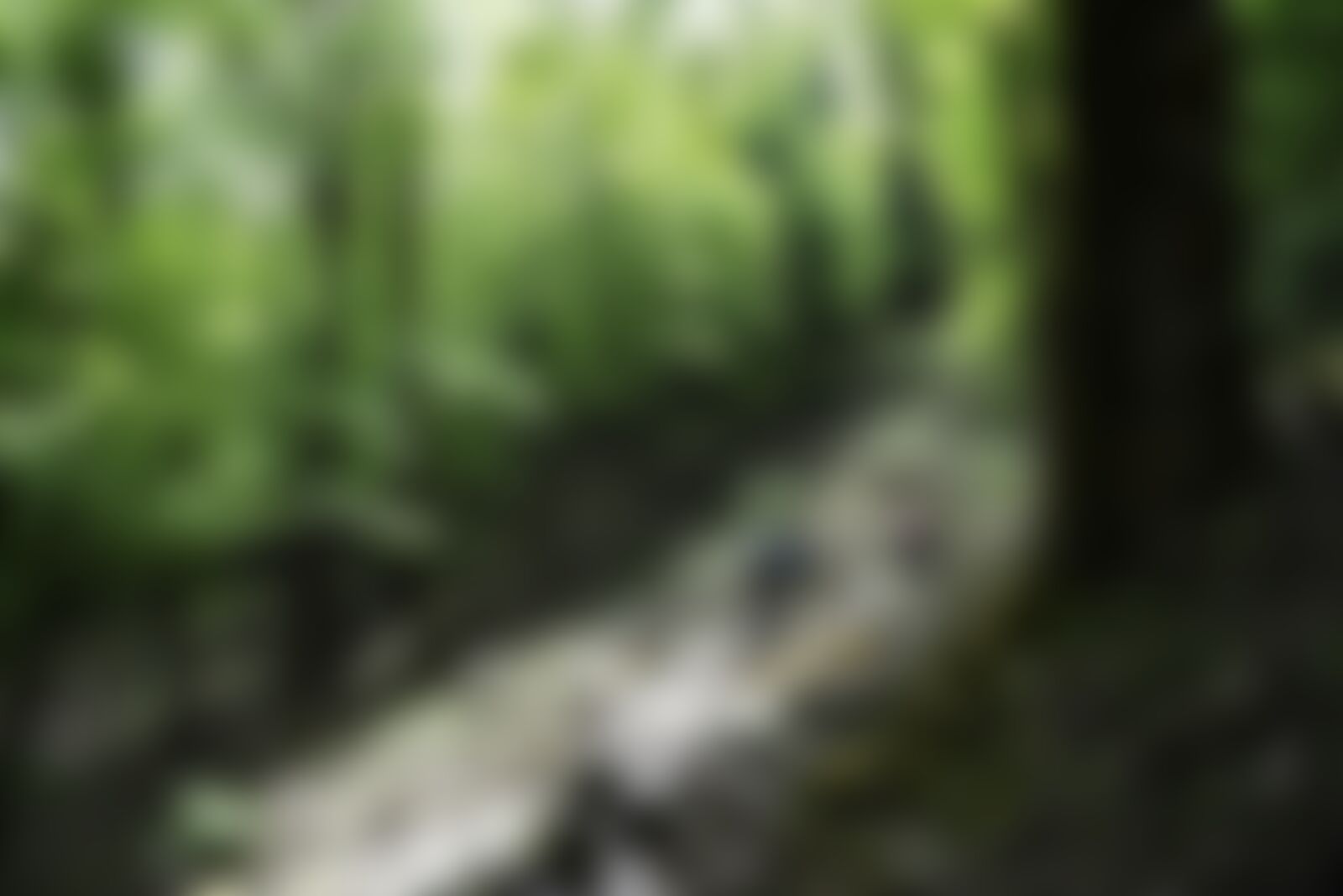 low-preview-0c64b504 3a1e 43d6 a248 c26faaba570c iap2028