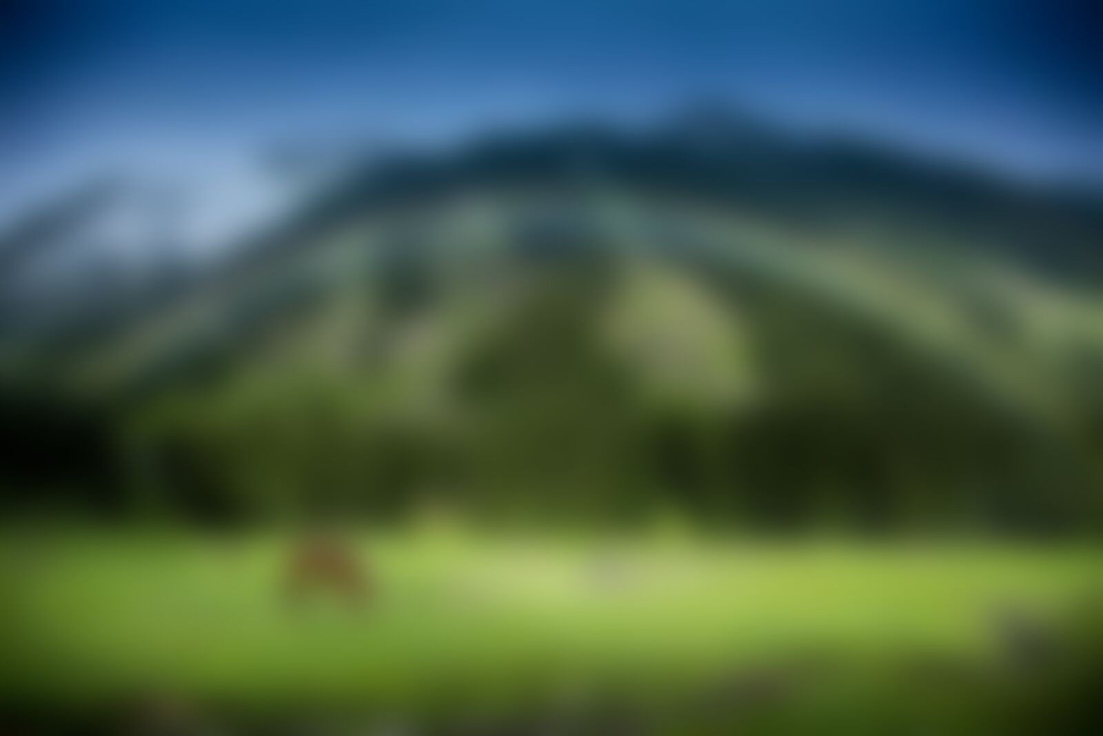 low-preview-0e8c79b3 f4f3 4bb1 8e05 92e8b6aa45c6 tarsar marsar shreenath indiahikes august season photo