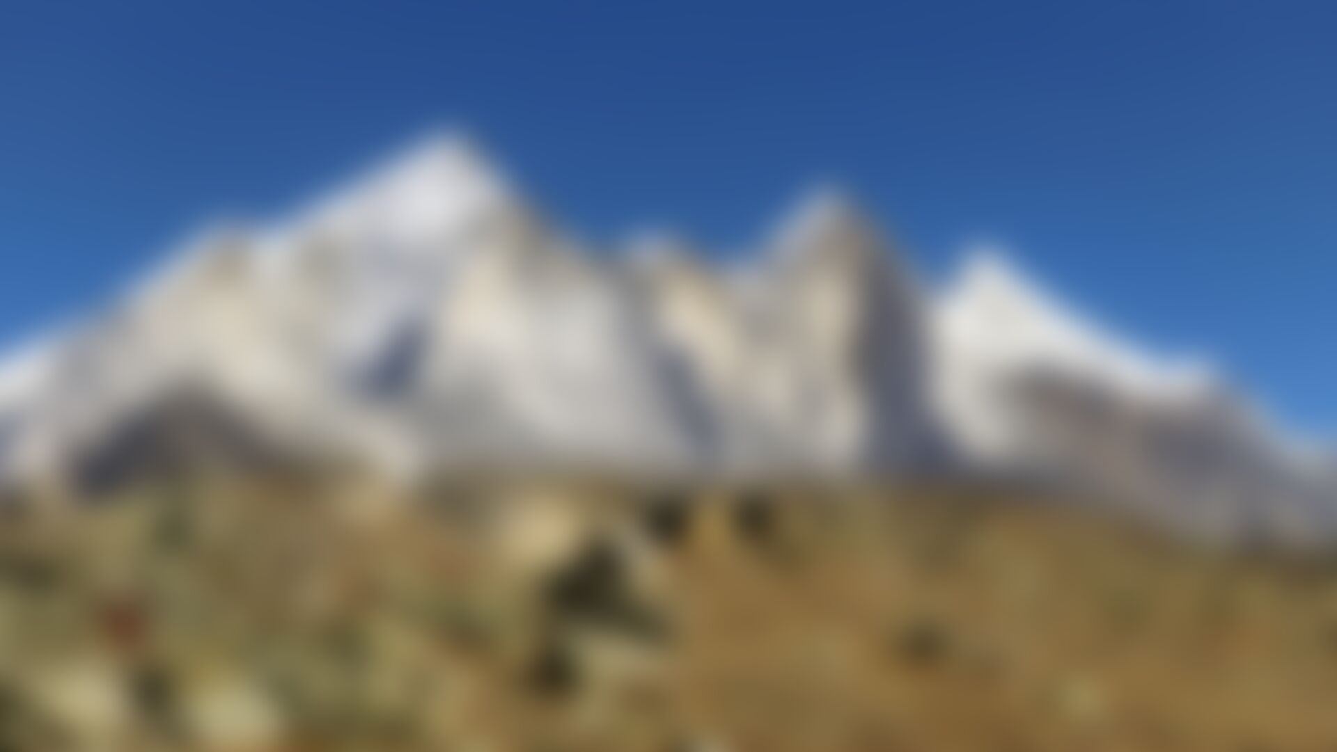 low-preview-121d35d1 504e 42f6 ace1 f37459180bd9 gaumukh tapovan trek indiahikes dhaval jajal