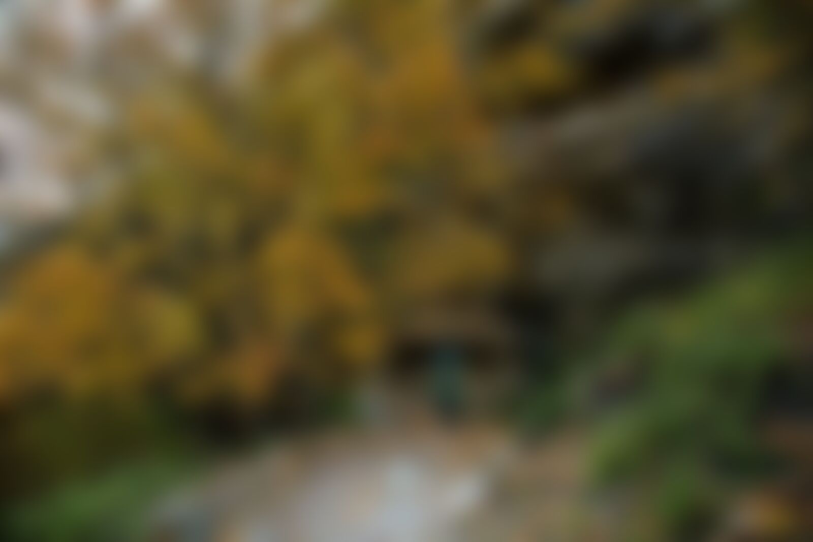 low-preview-12430fbb 616d 4534 a7b9 a3e9b420e0a7 gaumkh tapovan gt jothiranjan autumn colors mountain views trekkers on trail  63