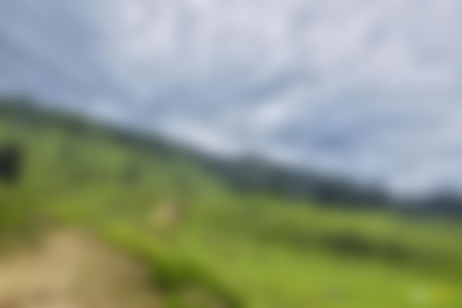 low-preview-12a58c8c 34c3 4969 87d7 3c54bc3378f7 asther valley trek indiahikes nithesh kumar july 2022 website resolution  44