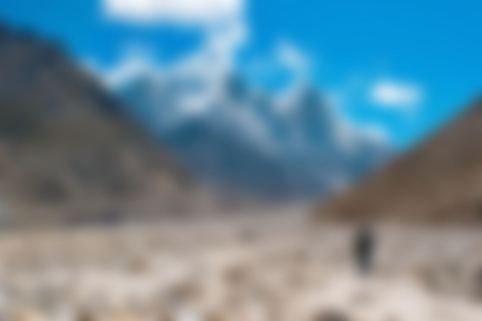 low-preview-13780cc8 22f4 4888 a202 2e3aace751ff gaumukh gt arabinda deb the guide