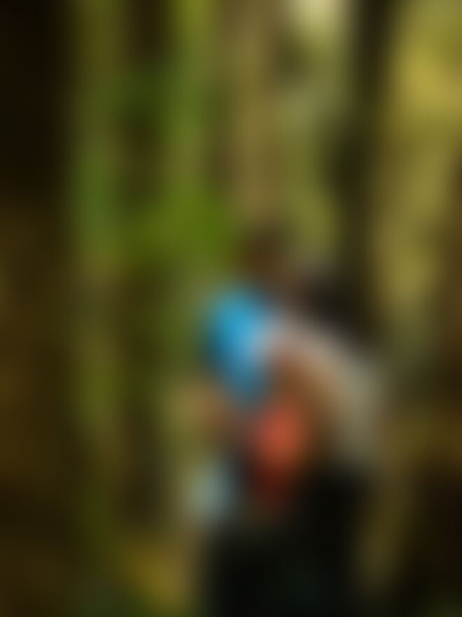 low-preview-19b1311d 437d 4bcf 9d56 b0514dcc0972 deoriatal chandrashila dc family trek jothiranjan april 2022 53