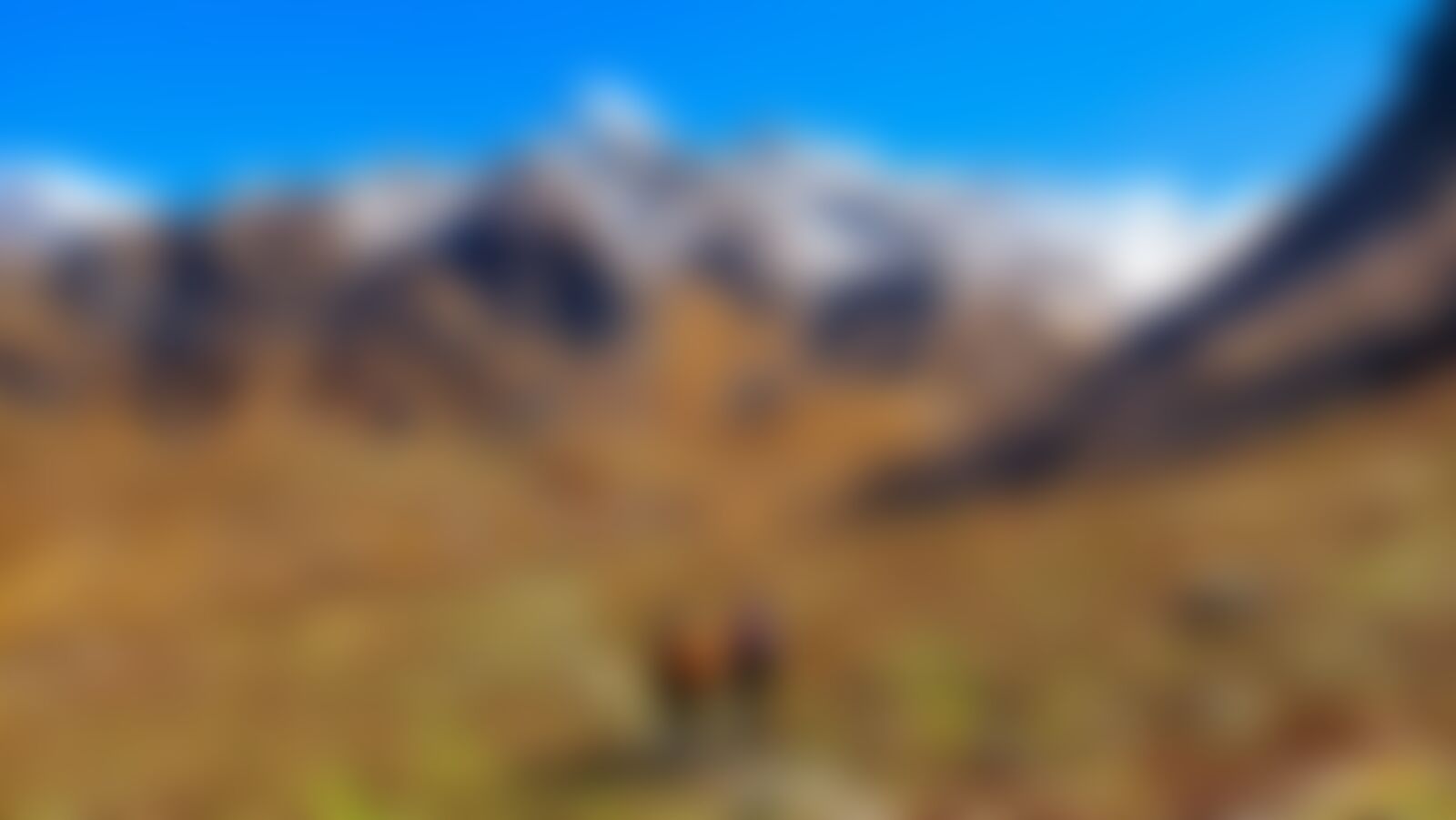 low-preview-1f489138 58a3 4e44 b2df 03a8cf4f1afa trekkers on trail khopra ridge mrinal