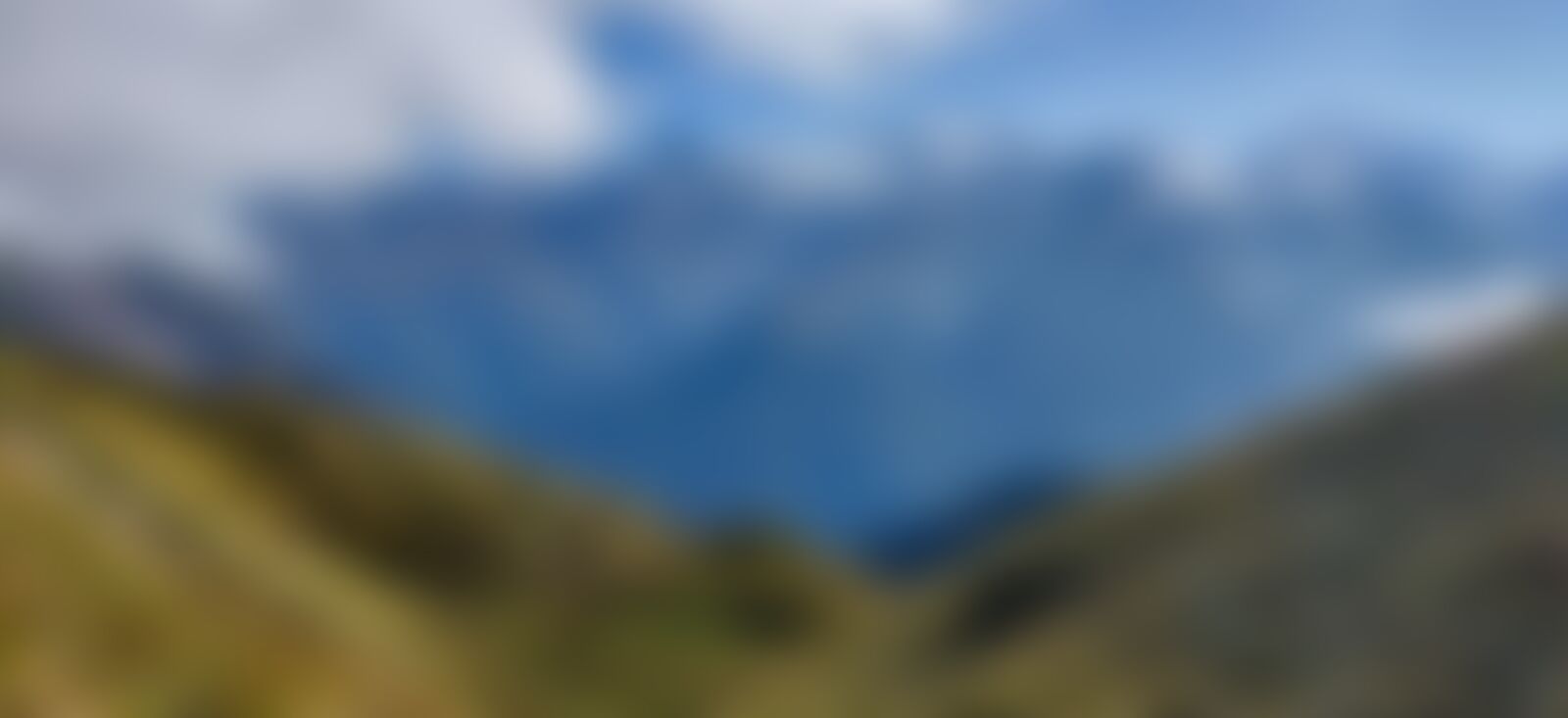 low-preview-234f5bd3 56a6 4e52 a23f c3507c8ec8ee gidara bugyal gb nithesh indiahikes  %2842%29