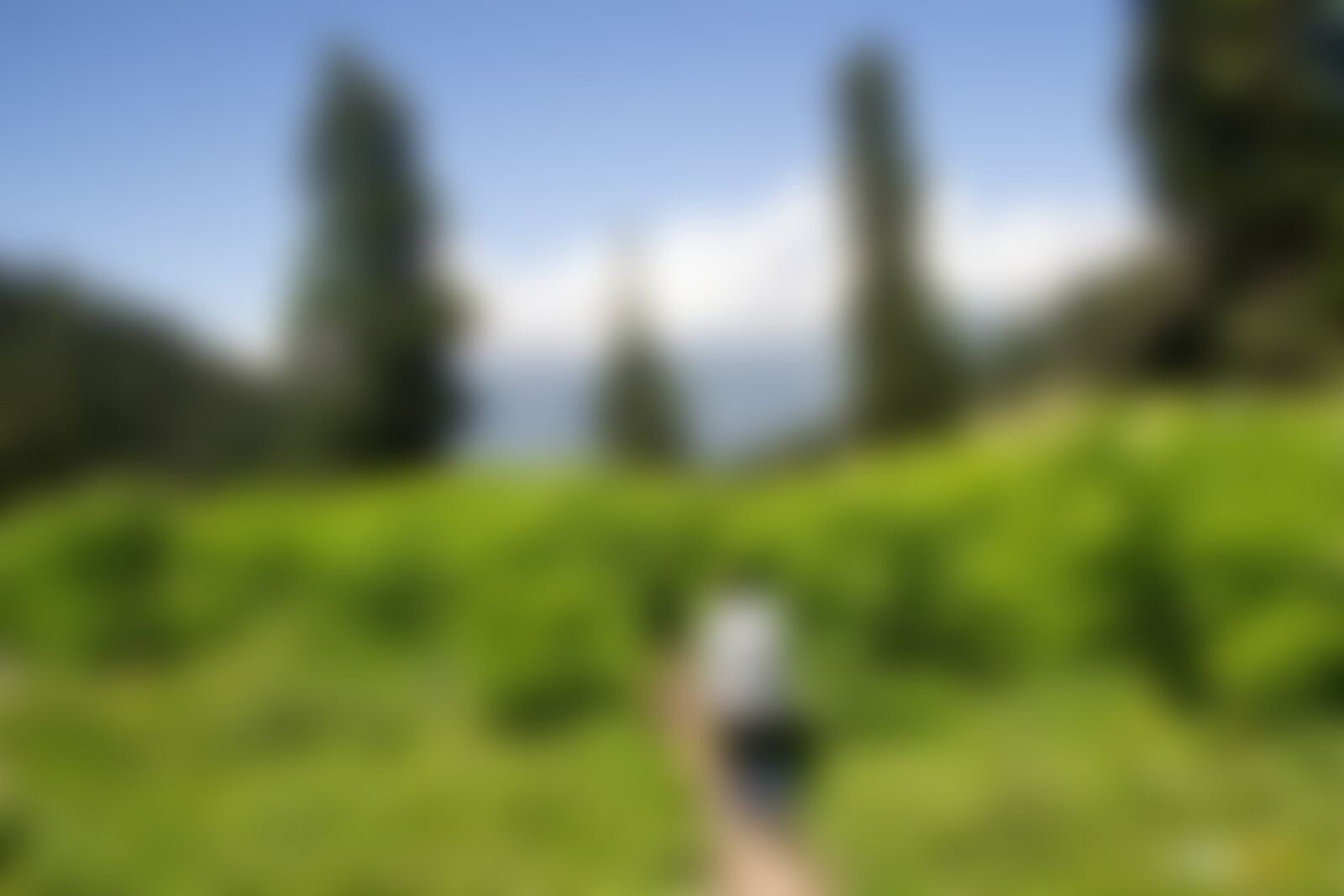 low-preview-24da06c6 b7c3 4c09 bd33 71ae363ee603 tulian lake lucas bragagnollo indiahikes %283%29