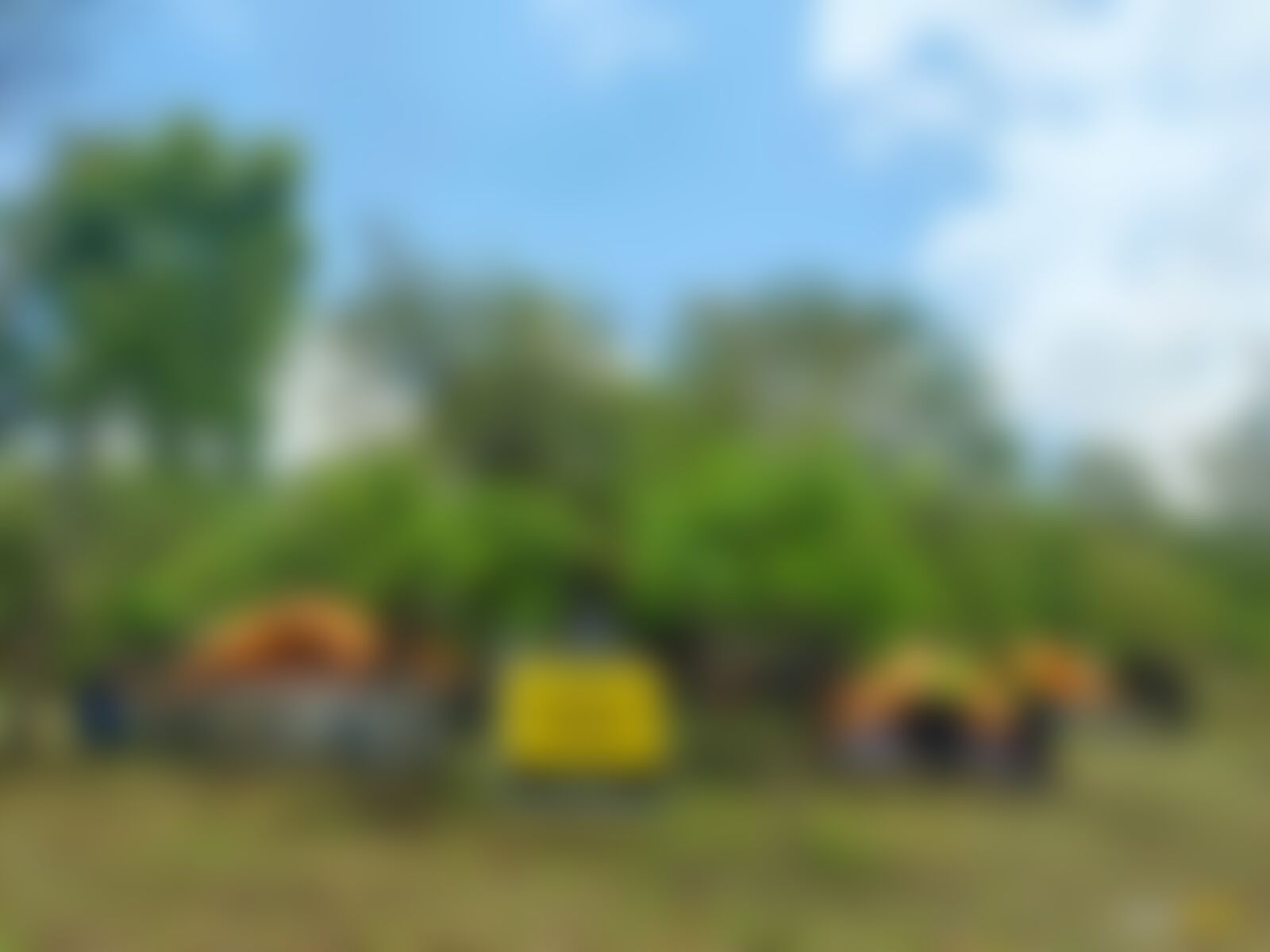 low-preview-25575d20 ed04 4b6c b384 f52376ca678c kodaikanal trek nitesh kumar april 2023 48