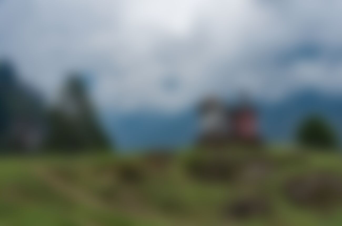 low-preview-29962 copy of goechala archana near tshokha campsite 1300 x 861