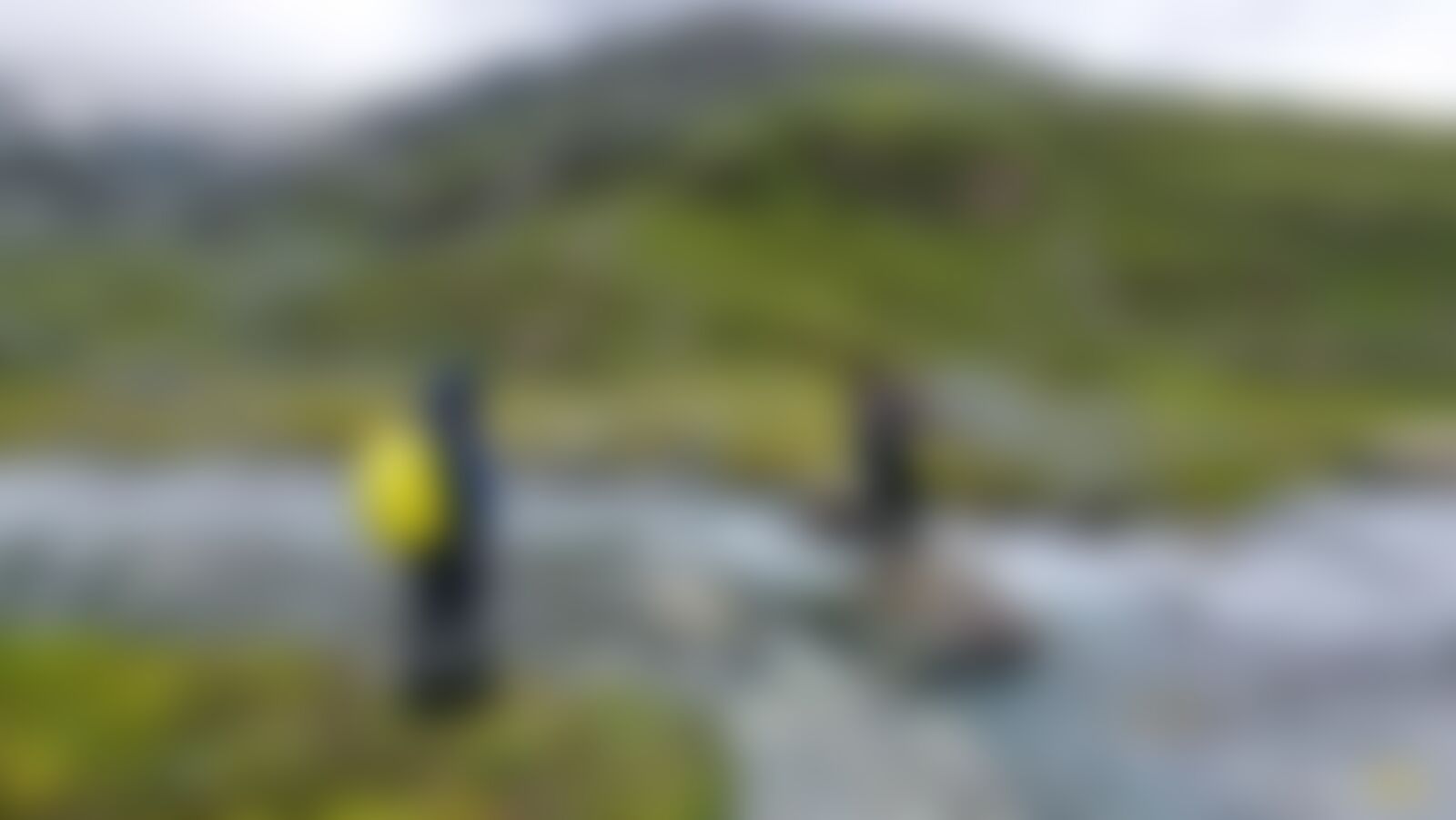 low-preview-2bc19d85 2c7a 4930 8df1 d5198f7db40c nafran valley nv dhaval jajal august 2021  %283%29