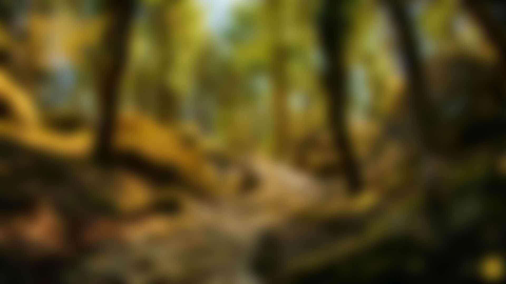 low-preview-2d4f2e8a 5bce 45e3 8fcc 352124346514 dayara bugyal anubhav bhatt forest trails on day 1 indiahikes