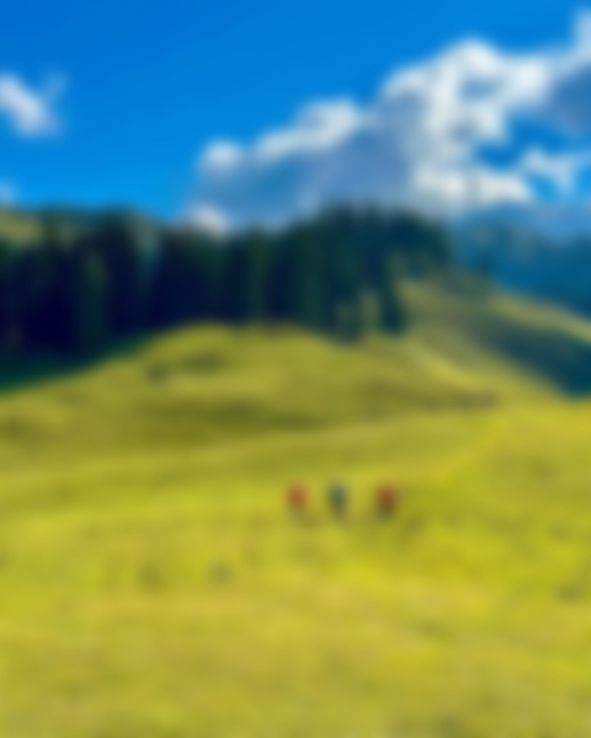 low-preview-2fcc552d c0d2 449c b343 69039aee36dc september   nafran valley trek leader bijju september 2023  %282%29