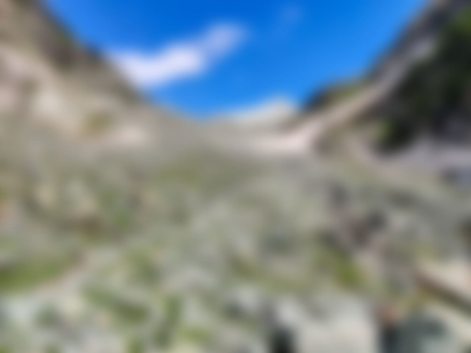 low-preview-33eef980 b85a 40a5 8e39 d6f136501c5a tulian lake rishivar mukharjee indiahikes14