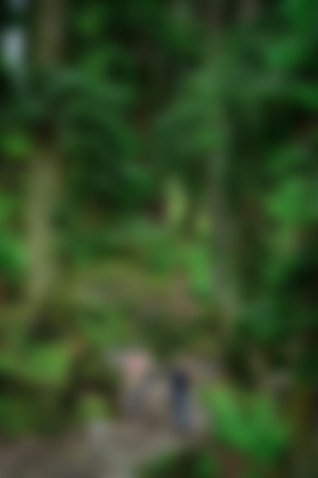 low-preview-381d0d71 a2a4 48f2 a8fd 607448319699 tarsar marsar santhosh july 2021 2