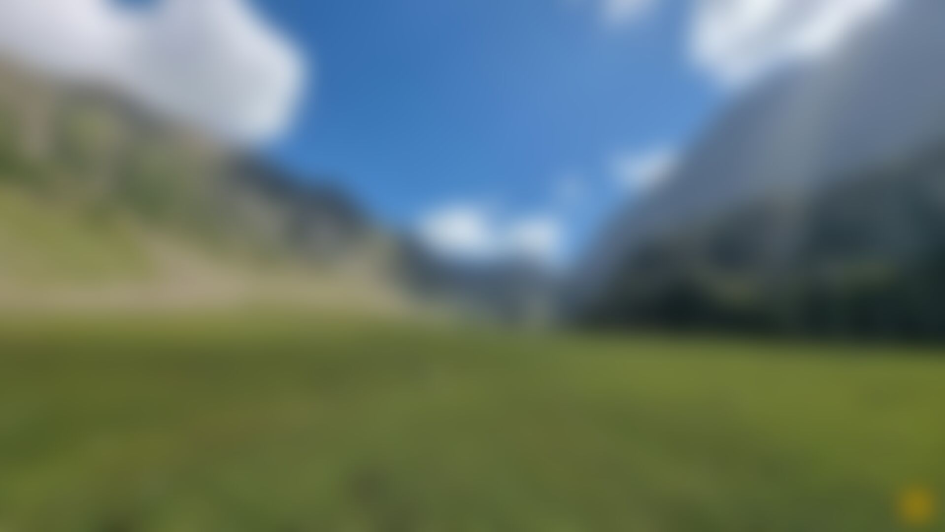 low-preview-413aade7 8d35 4461 ad34 f34849a64f95 20210903 100134