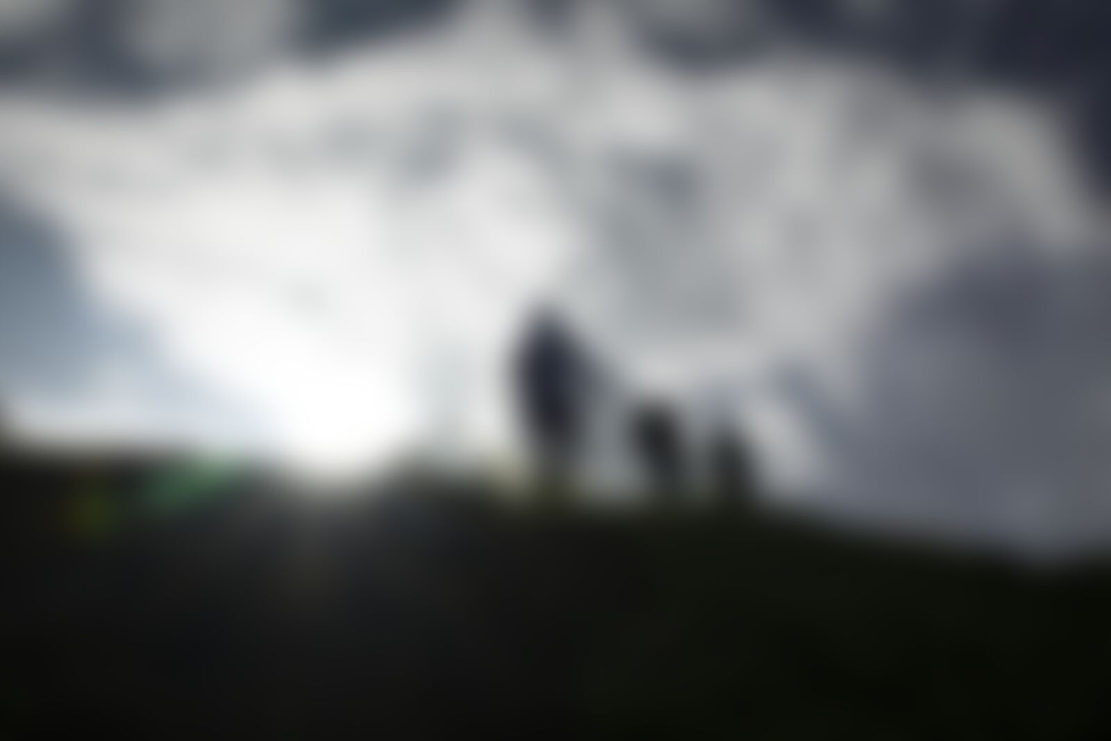 low-preview-422f53e2 9da7 4241 b559 7143ccb93b64 bhrigu lake bl indiahikes jothiranjan august 2021 towards summit