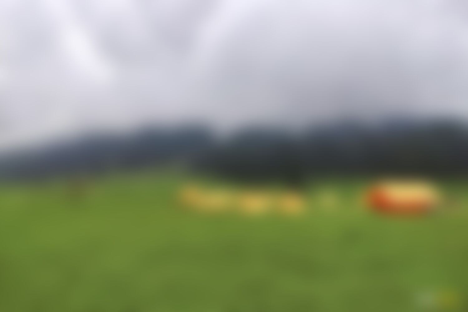 low-preview-468fd697 c7d7 4bdc 8ec7 6d3631258ba7 bodh pathri trek indiahikes campsites nitesh kumar 