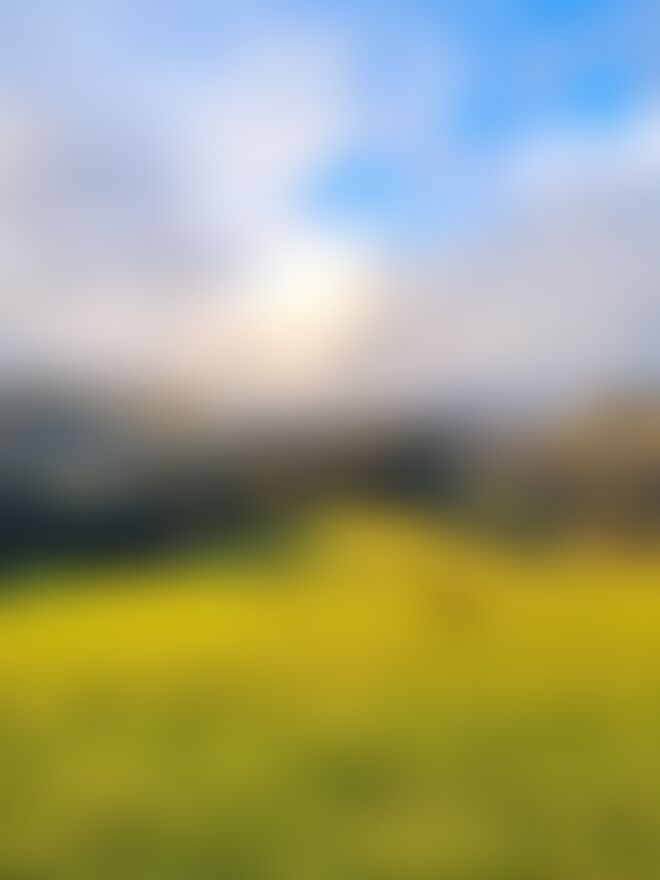 low-preview-502816c3 9484 49d1 ab1f 0c6ad8b58ed5 nafran valley nv diptarka 2023  %2825%29