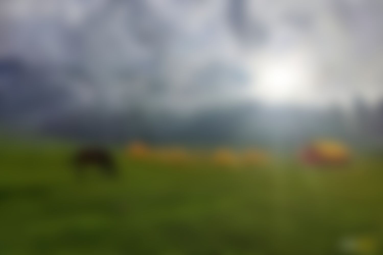 low-preview-532648b8 7784 432b 8dc5 2dc7ffddfc92 bodh pathri trek indiahikes campsites nitesh kumar  3