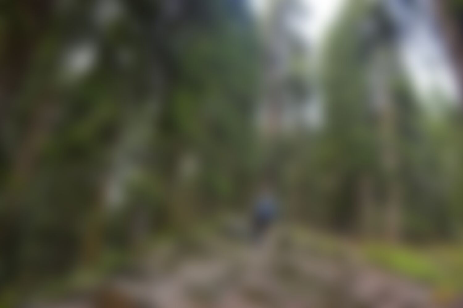 low-preview-5347ebbf a378 49a5 b648 fceb62192db3 asther valley trek indiahikes nithesh kumar july 2022 website resolution  2