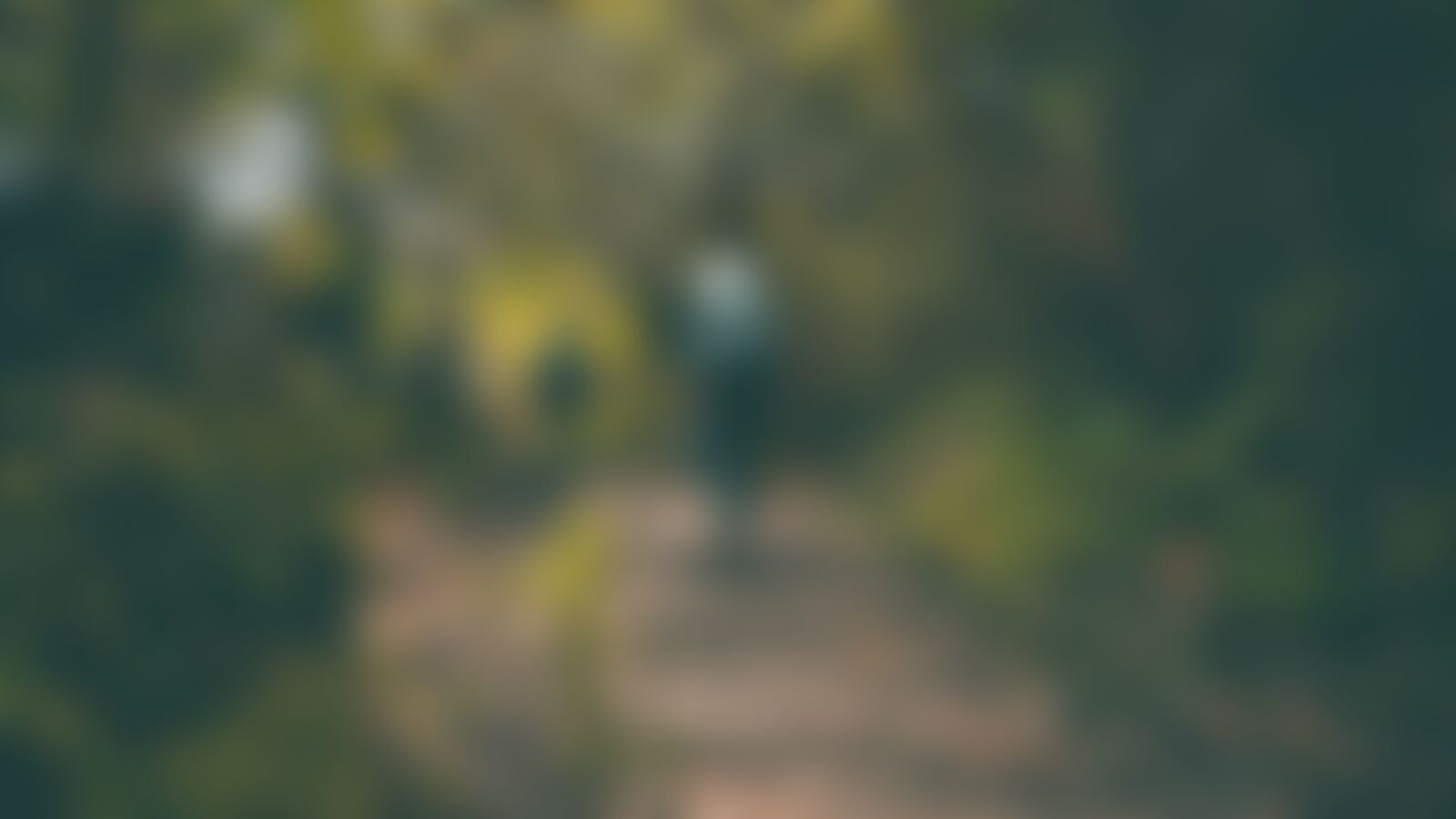 low-preview-54a8ac76 7453 4bae b7bc 71090ae55ebc goechala vishal gupta photocontest oct2021  %284%29