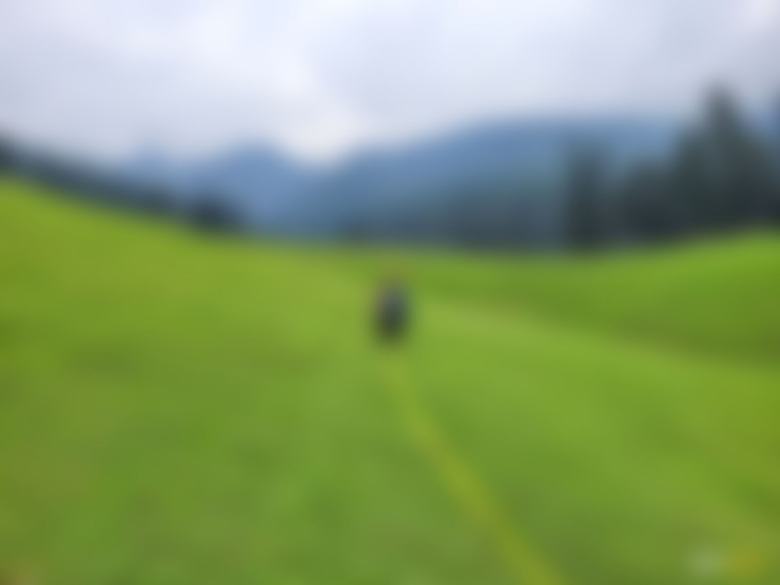 low-preview-57b8d48f 8b02 43ab a8ea 7465458703b9 nafran valley nv diptarka 2023  %2811%29