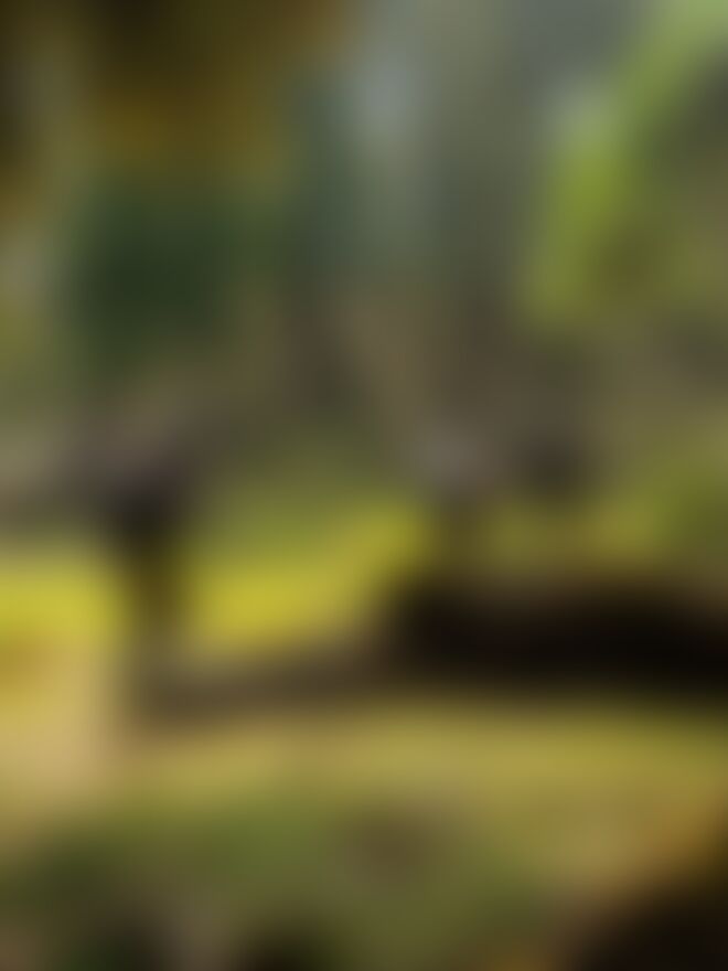 low-preview-Kedarkantha Indiahikes Uttarakhand
kedarkantha trek price
kedarkantha trek best time
kedarkantha trek distance
kedarkantha trek package
kedarkantha trek route
kedarkantha trek height
kedarkantha trek from mumbai
kedarkantha trek best time
kedarkantha trek route
kedarkantha trek height
kedarkantha trek indiahikes
kedarkantha trek from delhi
kedarkantha trek from mumbai
kedarkantha trek route map
kedarkantha trek from pune
kedarkantha trek package from delhi
things to carry for kedarkantha trek
thrillophilia kedarkantha trek
yhai kedarkantha trek 2021
sankri to kedarkantha trek distance
yhai kedarkantha trek 2022
kedarkantha trek distance
kedarkantha trekking from ahmedabad
kedarkantha trek best time
kedarkantha trek route
kedarkantha trek price
kedarkantha trek distance
kedarkantha trek package
kedarkantha trek height