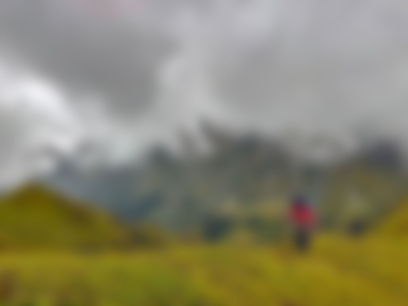 low-preview-5d7c9b7f c5a7 46fc 8e01 c9b16511cb43 gidara bugyal gb nithesh indiahikes  %28114%29