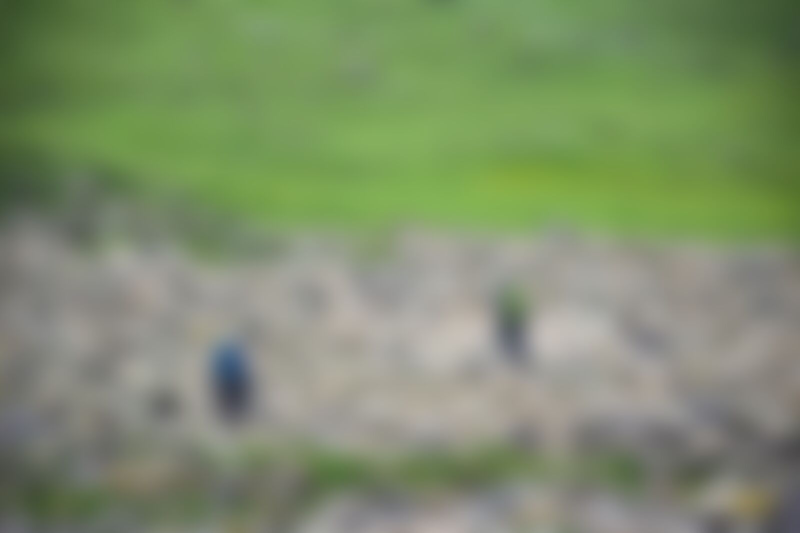 low-preview-61ddfea4 0a31 4472 b7d0 052eb24e5ba6 dsc 0432 01 %281%29