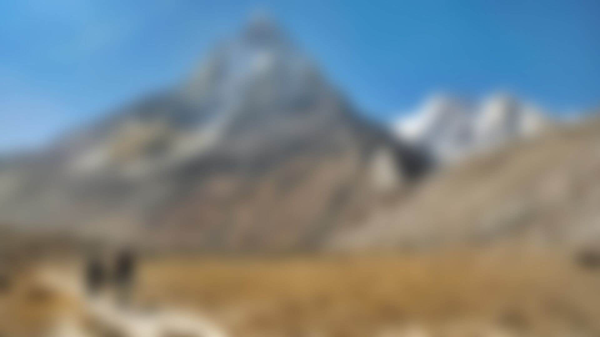 low-preview-6648e346 7032 472f 80ca 12cdb9cf74ce gaumukh tapovan trek indiahikes dhaval jajal