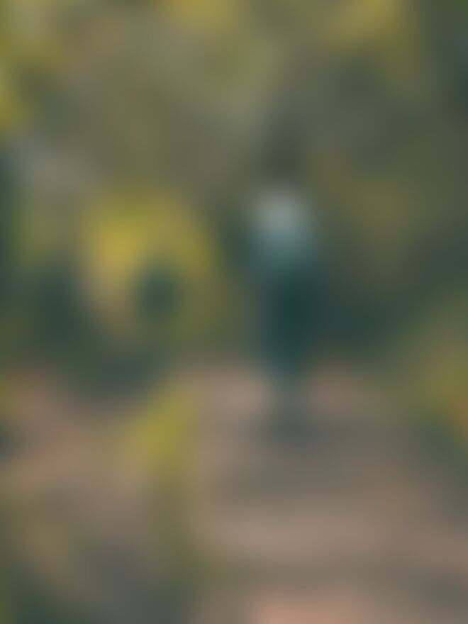 low-preview-669dc670 d124 4d75 ae43 99a2be20e907 goechala vishal gupta photocontest oct2021  %284%29