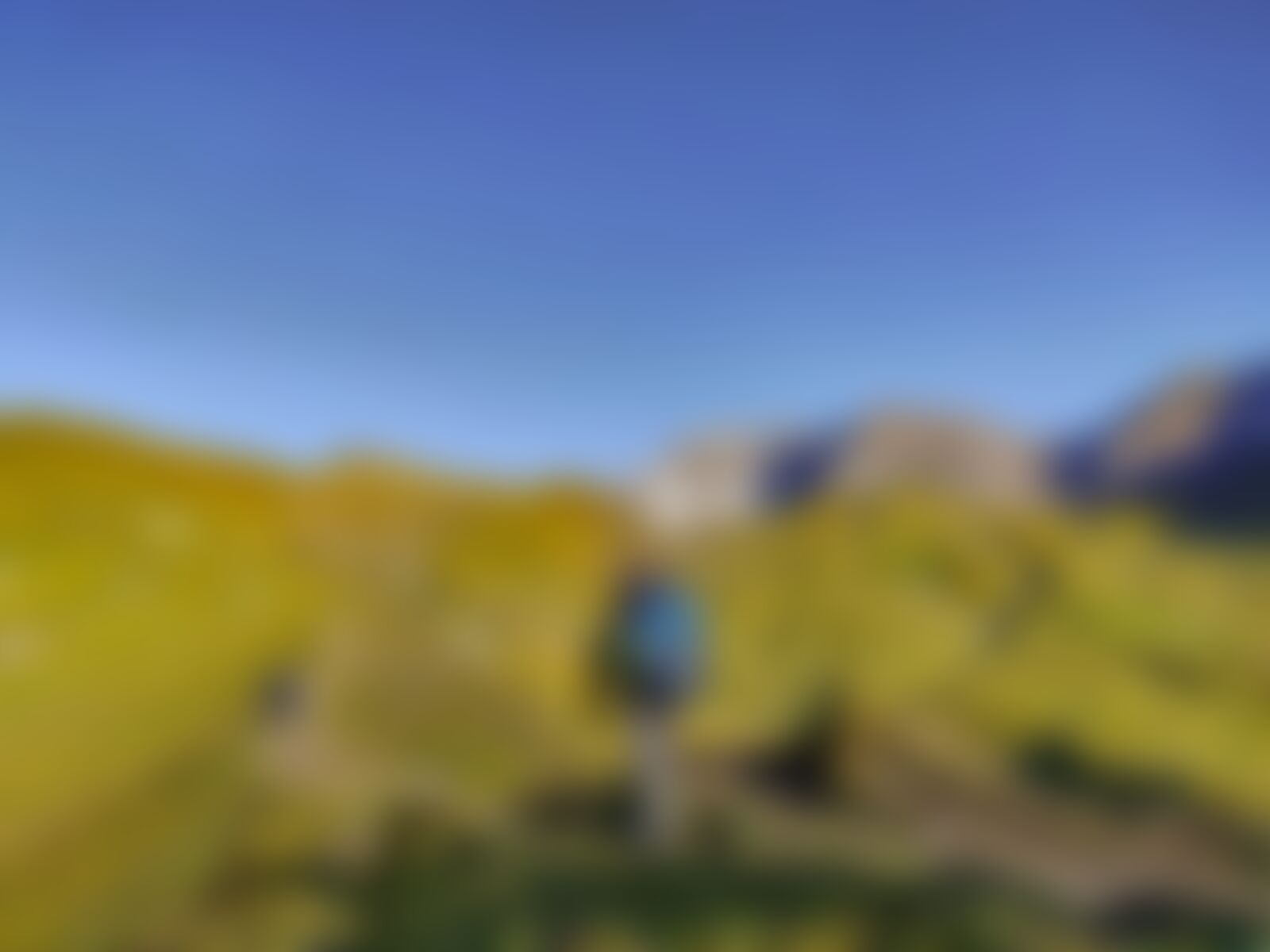 low-preview-671ddde8 11fb 446a 927a 0c05b7da8c18 gidara bugyal gb nithesh indiahikes  %2881%29