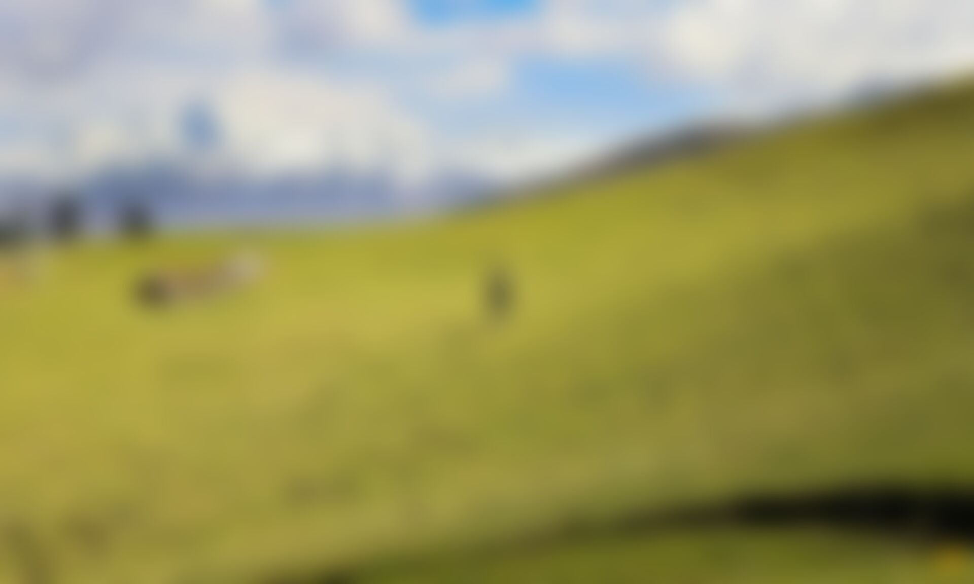 low-preview-A trekker enjoying some alone time on the meadows of Phulara ridge trek