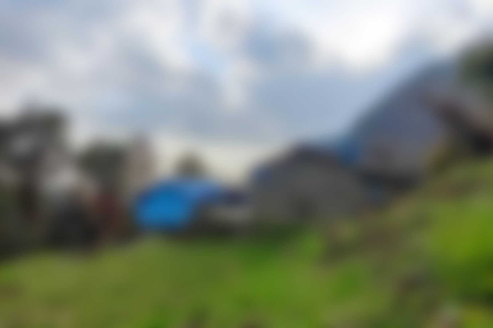 low-preview-6cedd681 1419 49a7 99eb 1e5d93a5b8bb tea houses khopra ridge nitesh kumar indiahikes