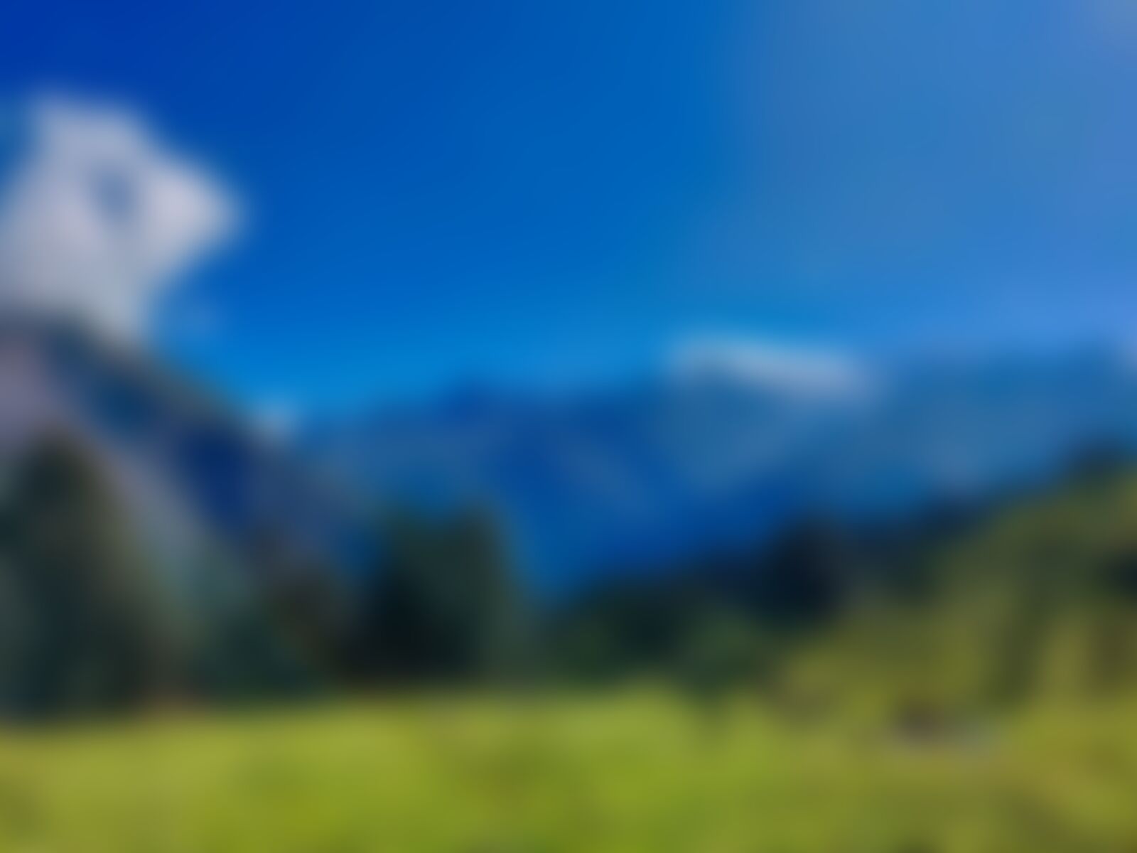 low-preview-70ab7218 7fc0 46db 945d 8c545651a7f2 gidara bugyal gb nithesh indiahikes  %2822%29