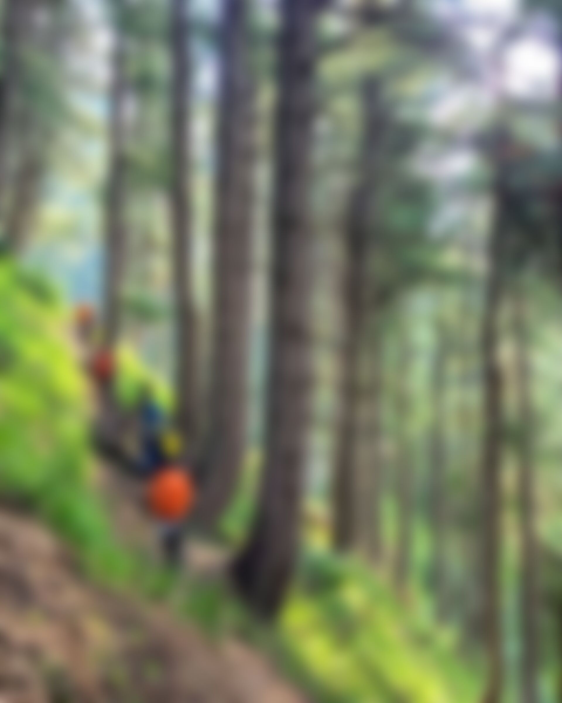 low-preview-7583dfcc 8b28 409d baee 3c7f00baee1f nafran valley nv diptarka 2023  %286%29