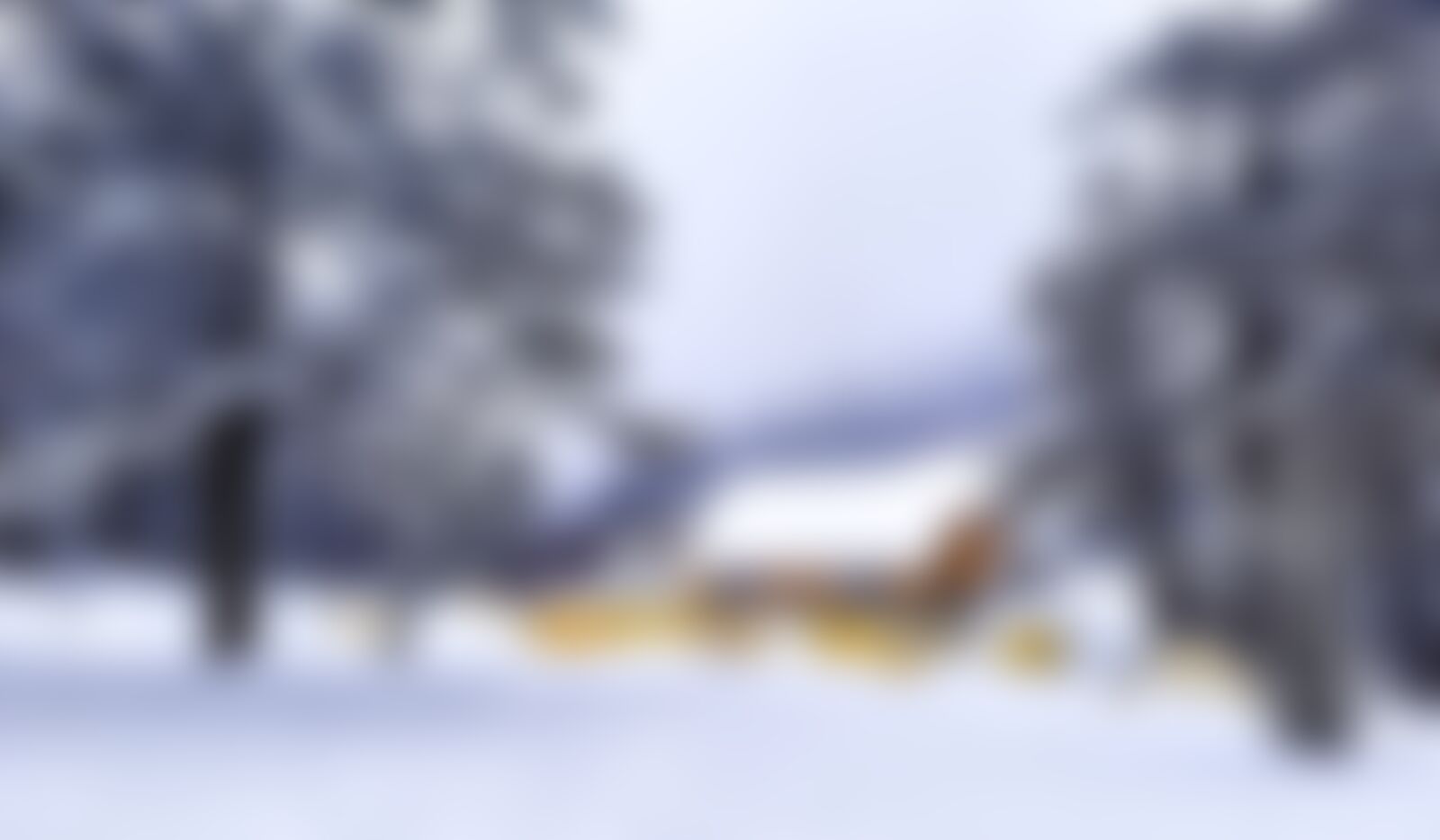 low-preview-79906951 f922 4edb ad0c 12cd0a3e1954 sandakphu phalut dwaipayan purkait the molley campsite 2