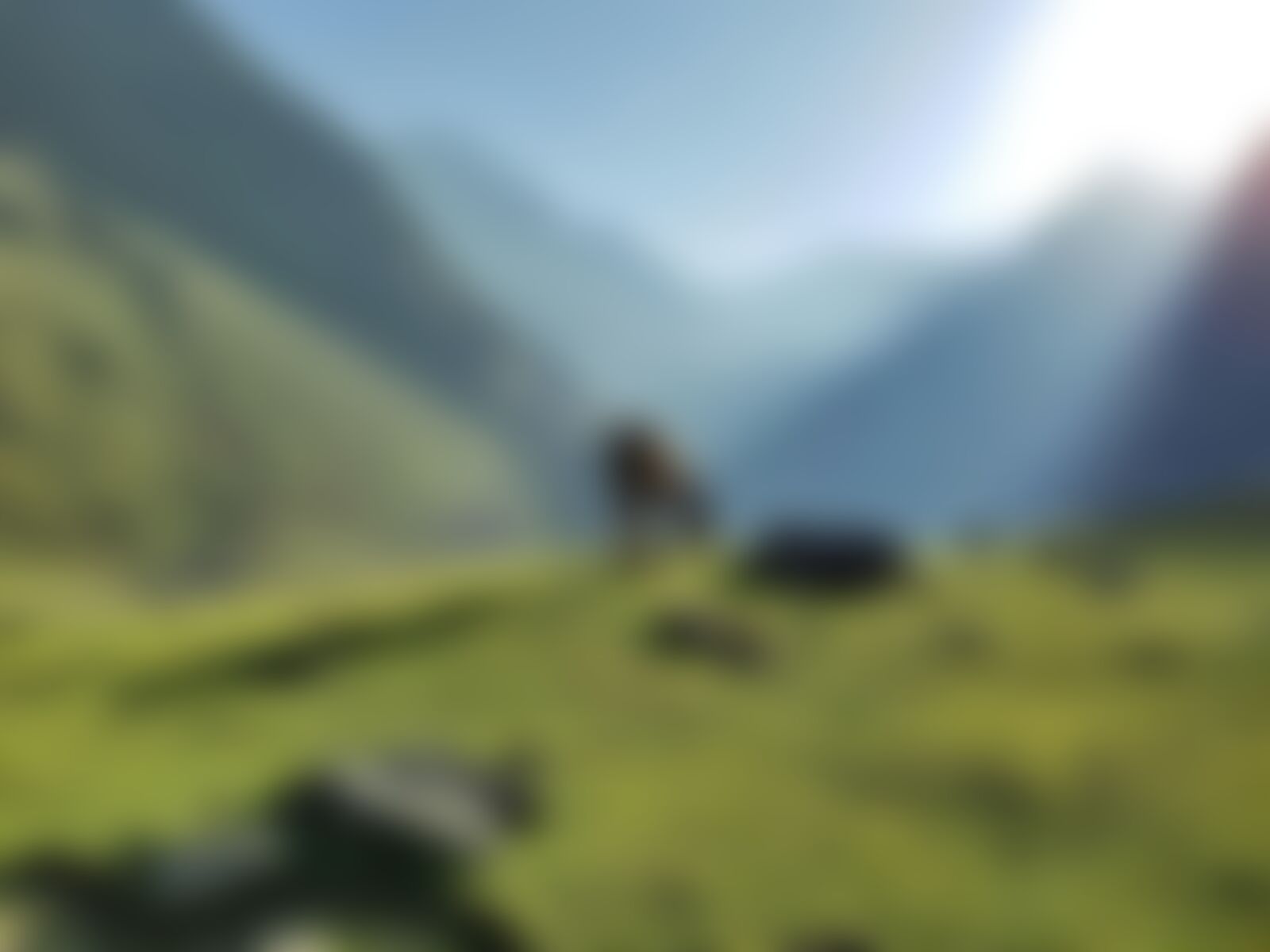 low-preview-7e06432b 34c0 4920 af9c 4e530f91d718 rupin pass vivek bagade horse grazing in the early hours near lower waterfall