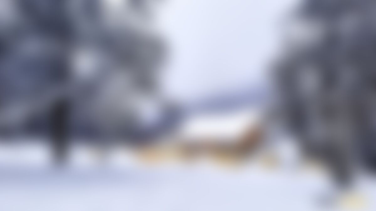 low-preview-Sandakhpu phalut winter himalayan treks indiahikes