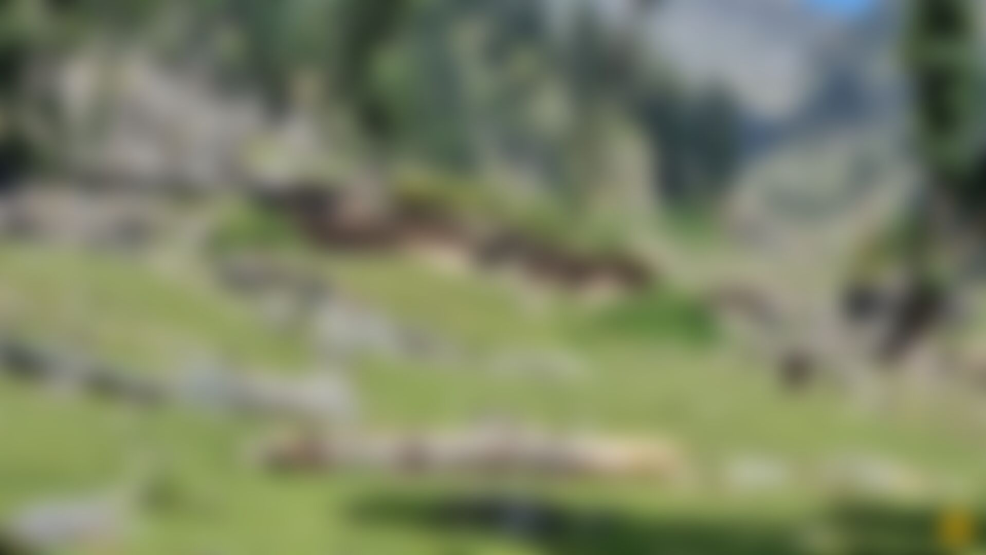 low-preview-7fde80e9 6937 484b 9e8c 90aa75e84cbf 20210904 150506