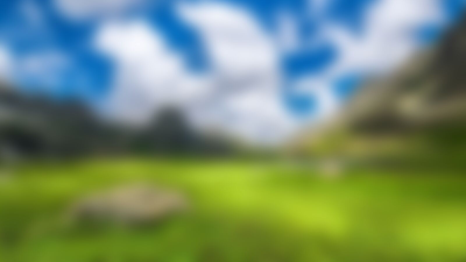 low-preview-8120794c da45 4f3a 9d9a ad38df853cce tarsar marsar tm amit anand meadows skycolors