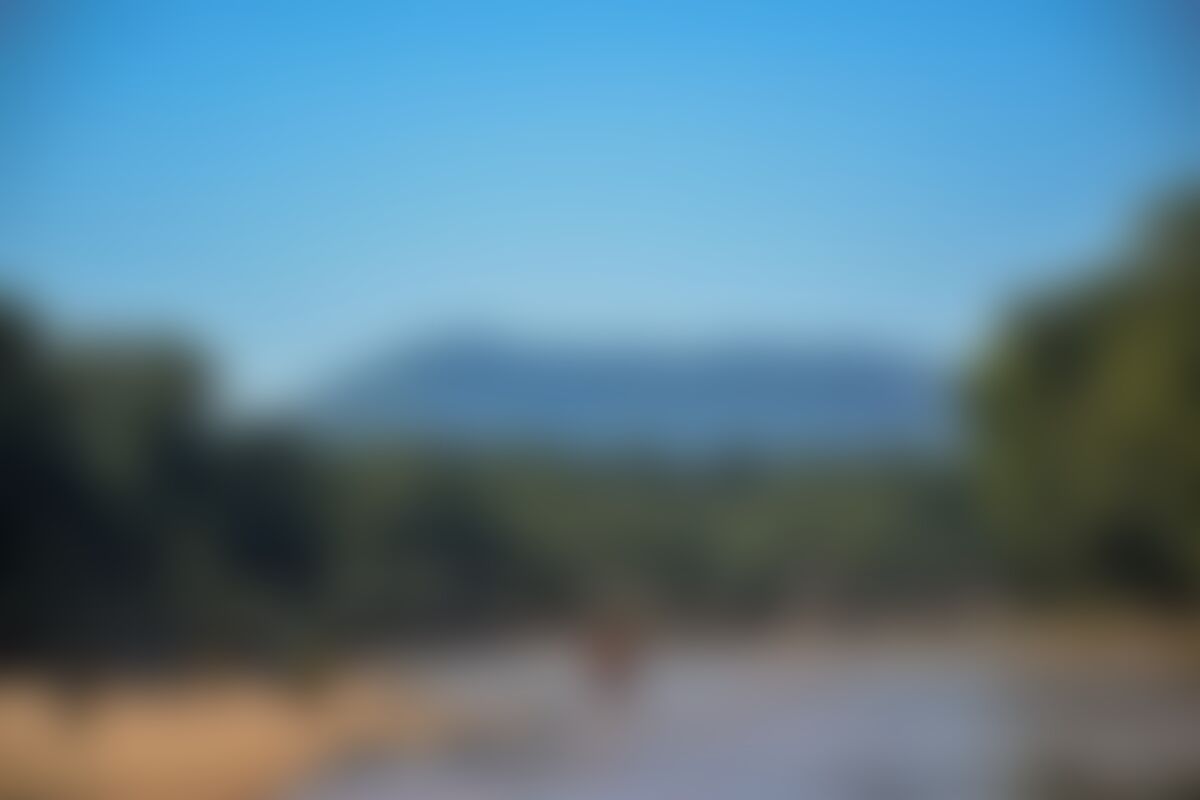 low-preview-Chhattisgarh jungle trek indiahikes winter trek