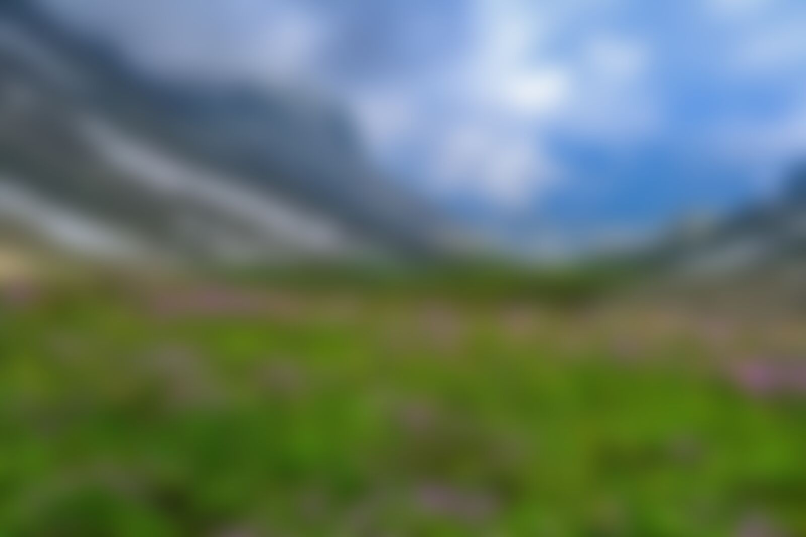 low-preview-8579684d 78e9 4054 8ced 78d5224b84ad tarsar marsar tm rajesh kallaje valleys tarsar to sundarsar