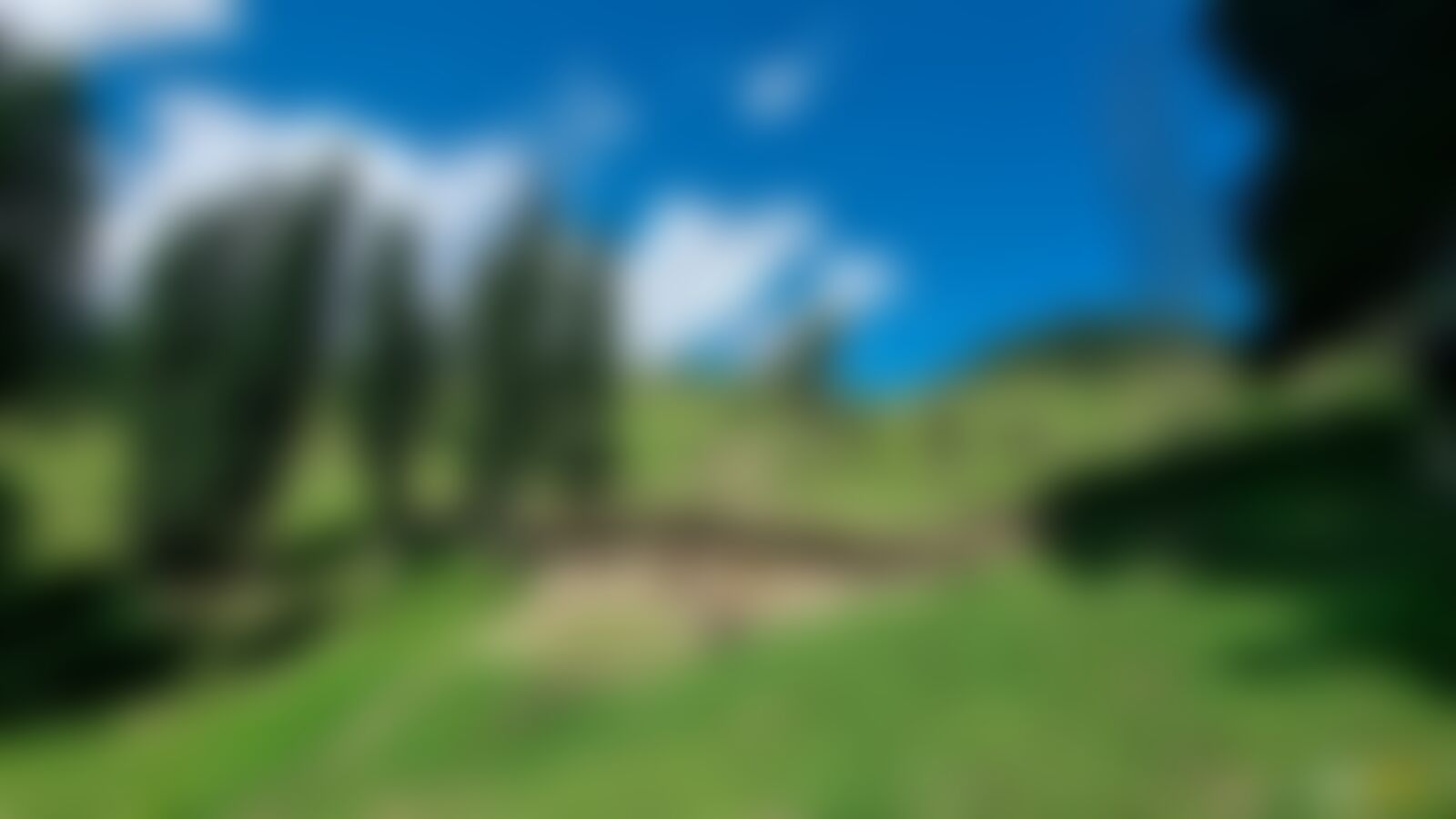 low-preview-85cd5fde 2b8a 49cd b0eb c06b64befd77 20210902 102007