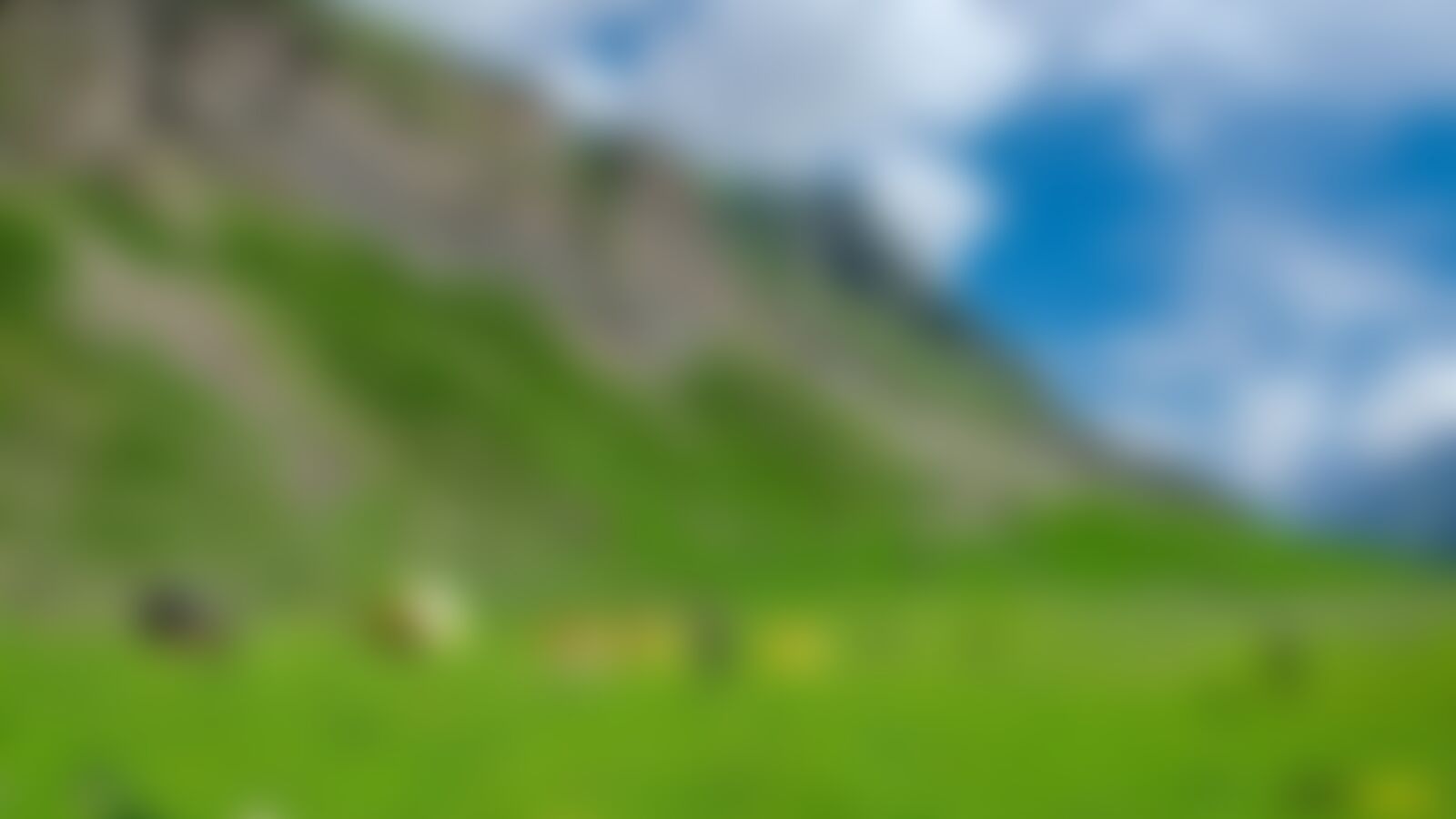 low-preview-8a29d642 d2b2 4c3d b8d0 65224a8212a1 warwan valley   ashwin   sukhnai campsite