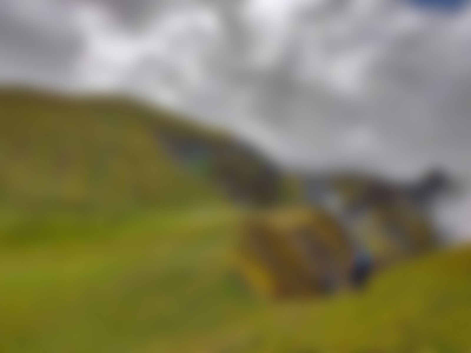 low-preview-8d5d1554 4159 47f7 a95d 9853827c9202 gidara bugyal gb nithesh indiahikes  %2896%29